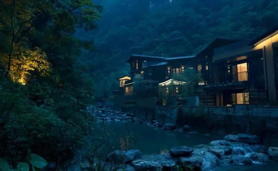 可爱啄木鸟逃脱